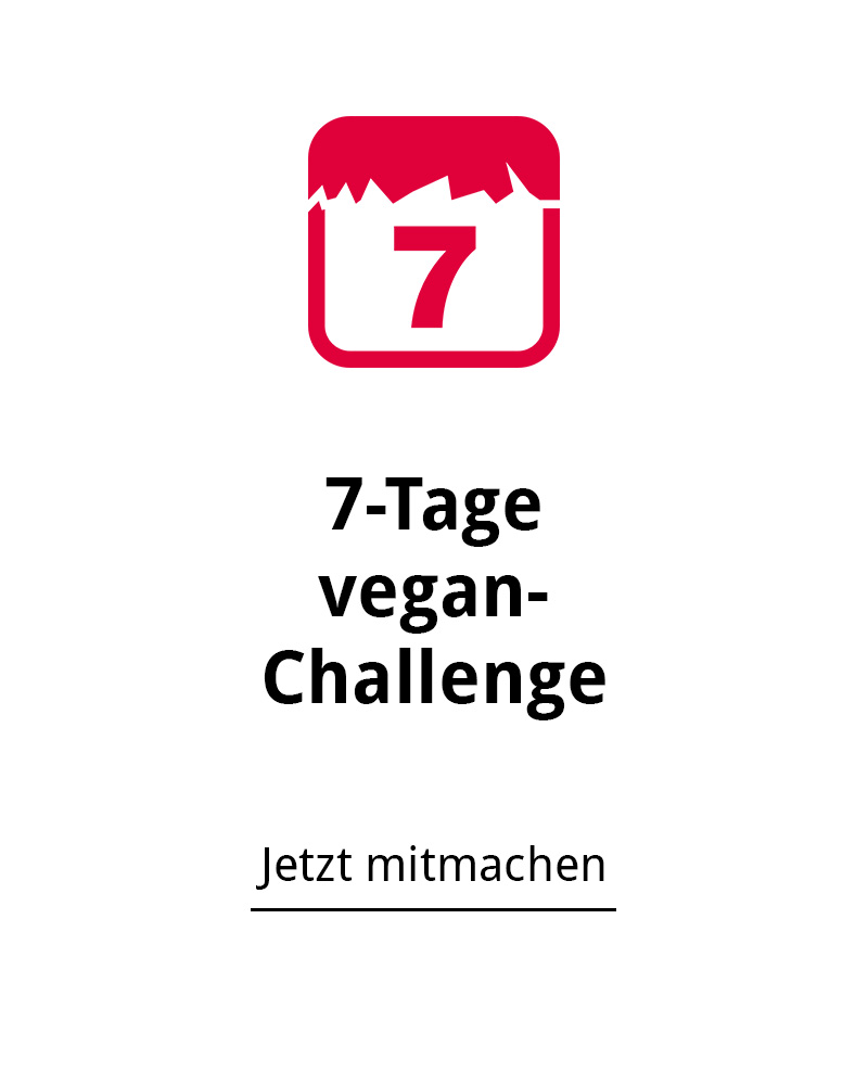 7-tage-clean